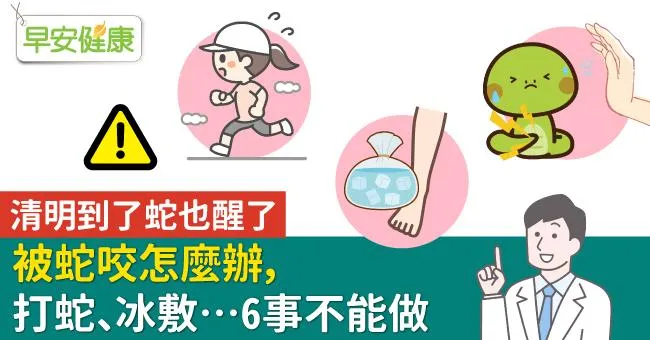 被蛇咬怎麼辦？冰敷、用嘴吸…6事不能做！