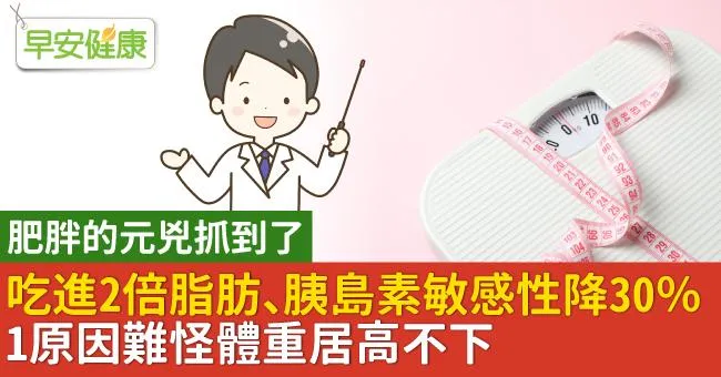 吃進2倍脂肪、胰島素敏感性降30％！1原因難怪體重居高不下