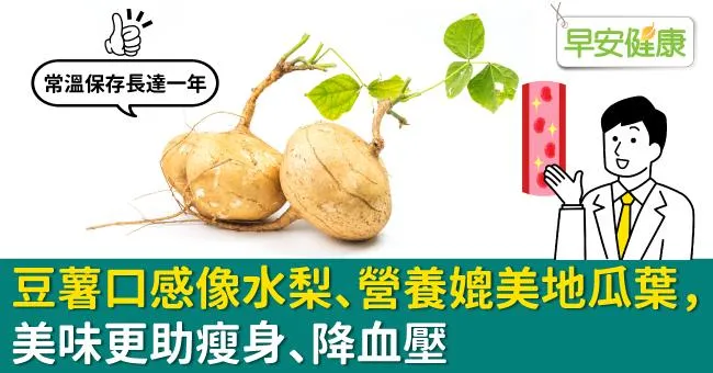 豆薯熱量低、好處媲美地瓜葉！豆薯料理食譜挑選撇步大公開