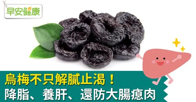 烏梅不只解膩止渴！降脂、養肝、還防大腸瘜肉