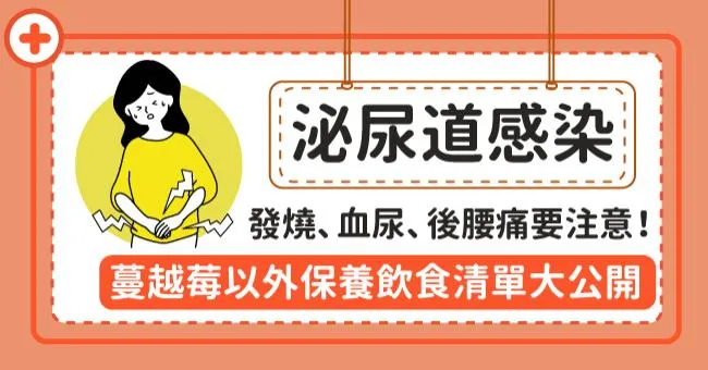 泌尿道感染發燒也可能傷及腎臟！泌尿感染會自己好嗎？原因、藥物、看診科別懶人包
