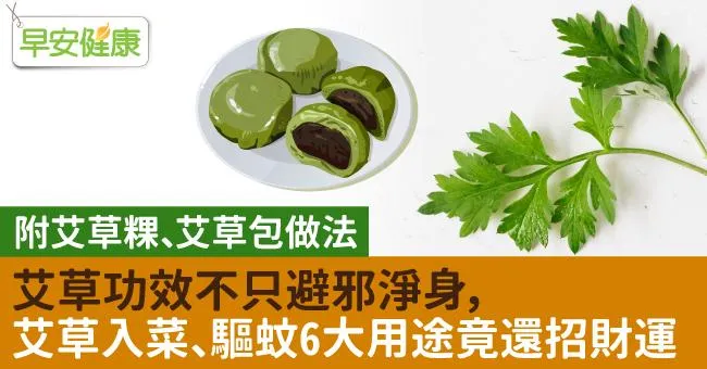 艾草功效不只避邪淨身，艾草入菜、驅蚊6大用途竟還招財運