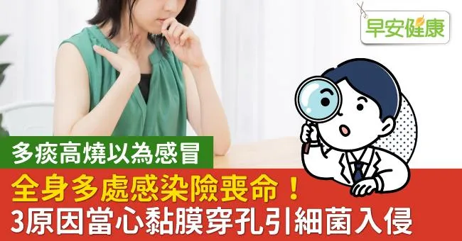 多痰高燒以為感冒…全身多處感染險喪命！3原因當心黏膜穿孔引細菌入侵