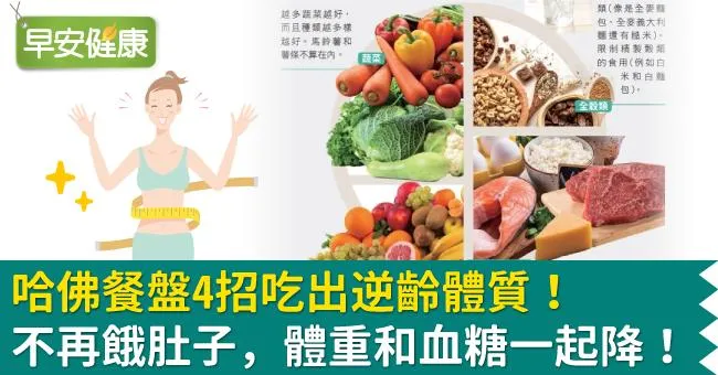 哈佛餐盤4招吃出逆齡體質！不再餓肚子，體重和血糖一起降！