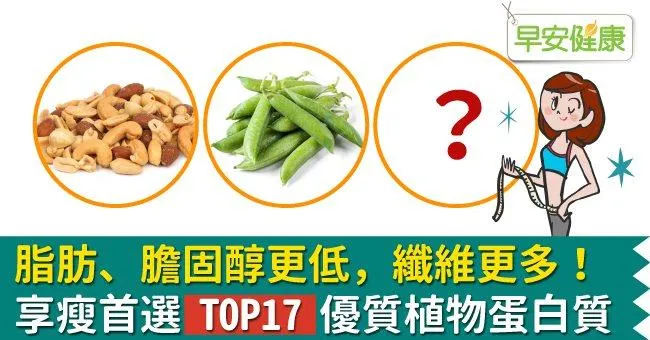 脂肪、膽固醇更低，纖維更多！享瘦首選TOP17優質植物蛋白質