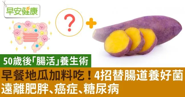 早餐地瓜加料吃！4招替腸道養好菌，遠離肥胖、癌症、糖尿病