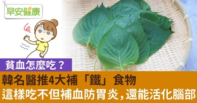 韓名醫推4大補「鐵」食物！這樣吃不但補血防胃炎，還能活化腦部