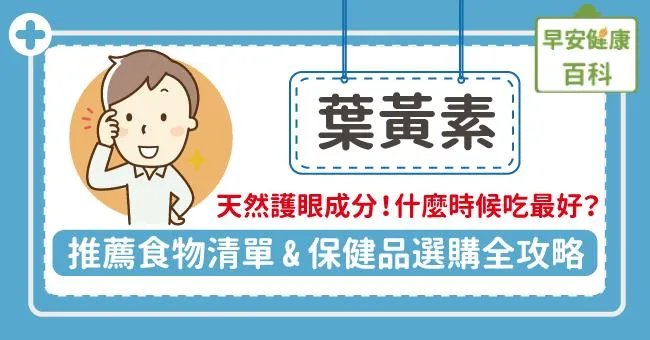 葉黃素功效懶人包：葉黃素什麼時候吃最好？葉黃素食物推薦清單、補充劑選購全攻略