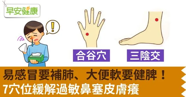易感冒要補肺、大便軟要健脾！7穴位緩解過敏鼻塞皮膚癢