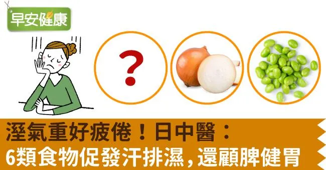 濕氣重好疲倦！日中醫：6類食物促發汗排濕，還顧脾健胃