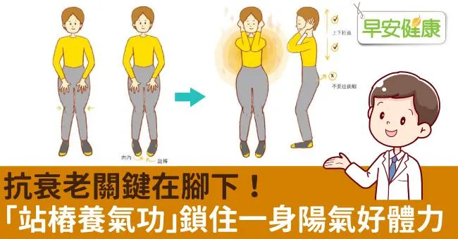 抗衰老關鍵在腳下！圖解「站樁養氣功」鎖住一身陽氣好體力