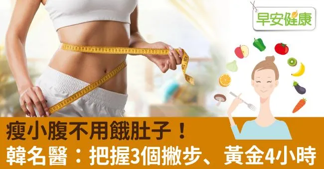 瘦小腹不用餓肚子！韓名醫：把握3個撇步、黃金4小時