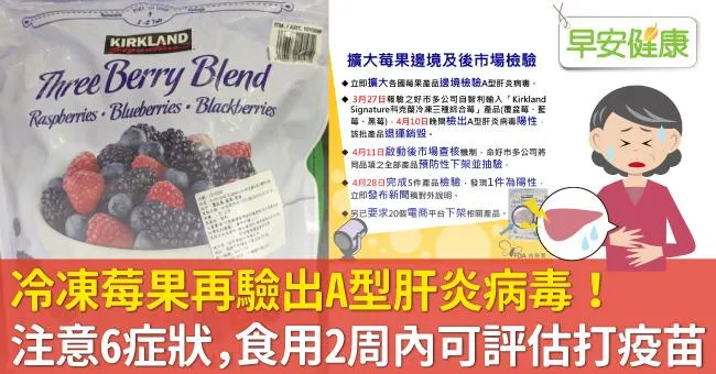 冷凍莓果再驗出A型肝炎病毒！注意A肝6感染症狀，食用2周內可評估接種疫苗