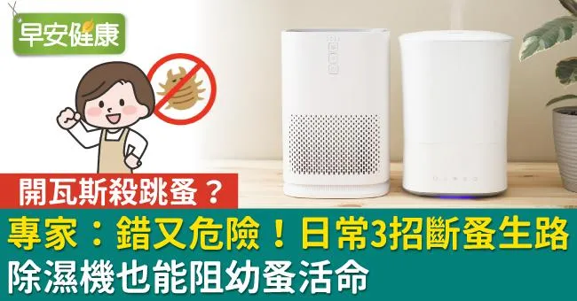 開瓦斯殺跳蚤？專家：錯又危險！日常3招斷蚤生路，除濕機也能阻幼蚤活命