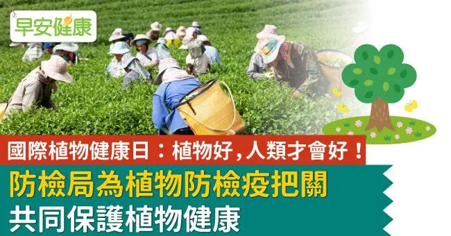 國際植物健康日：植物好，人類才會好！防檢局為植物防檢疫把關　共同保護植物健康