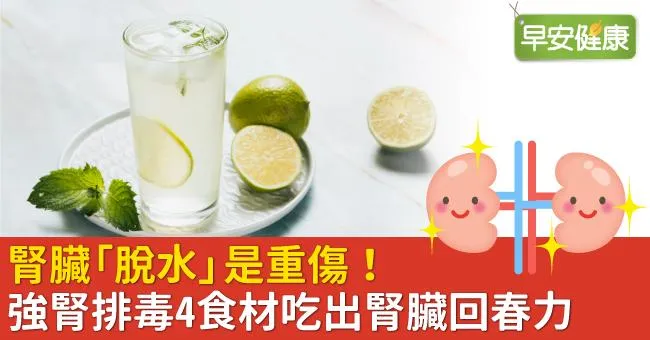 腎臟「脫水」是重傷！強腎排毒4食材吃出腎臟回春力