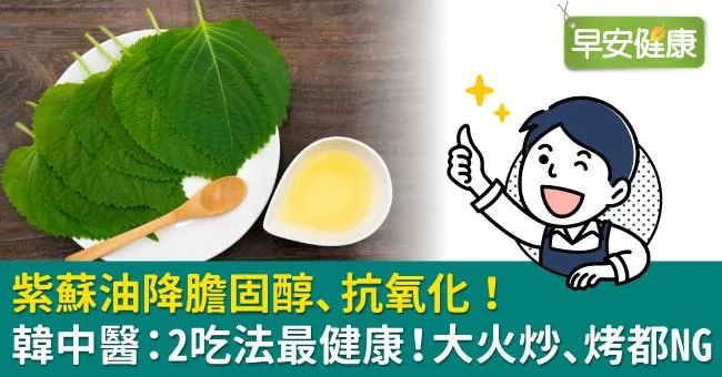 紫蘇油降膽固醇、抗氧化！韓中醫：2吃法最健康！大火炒、烤都NG
