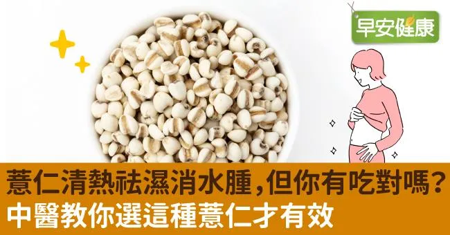 薏仁清熱祛濕消水腫，但你有吃對嗎？中醫教你選這種薏仁才有效