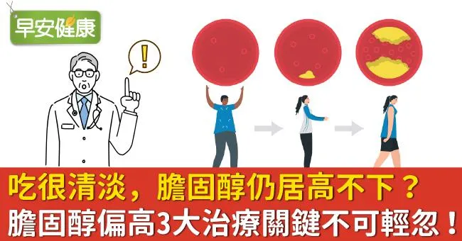 吃很清淡，膽固醇仍居高不下？膽固醇偏高3大治療關鍵不可輕忽！