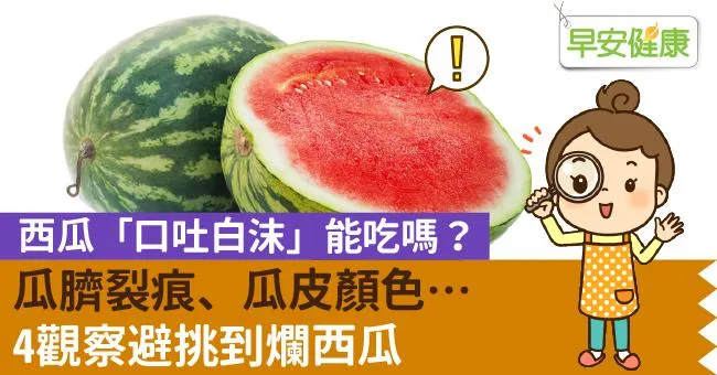 西瓜「口吐白沫」能吃嗎？瓜臍裂痕、瓜皮顏色…4觀察避挑到爛西瓜