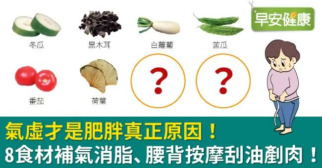 氣虛才是肥胖真正原因！8食材補氣消脂、腰背按摩刮油剷肉！