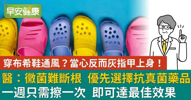 穿布希鞋通風？當心反而灰指甲上身！醫：黴菌難斷根　選擇抗真菌藥品　一週只需擦一次　即可達最佳效果