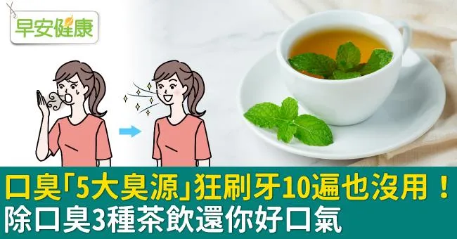 口臭「5大臭源」狂刷牙10遍也沒用！除口臭3種茶飲還你好口氣