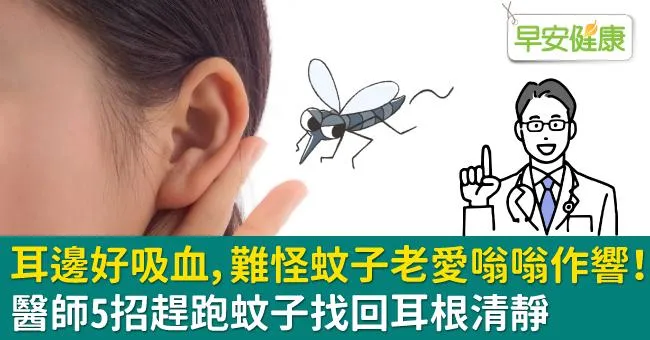 耳邊好吸血，難怪蚊子老愛嗡嗡作響！醫師5招趕跑蚊子找回耳根清靜