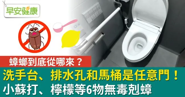蟑螂到底從哪來？洗手台、排水孔和馬桶是任意門！小蘇打、檸檬等6物無毒剋蟑