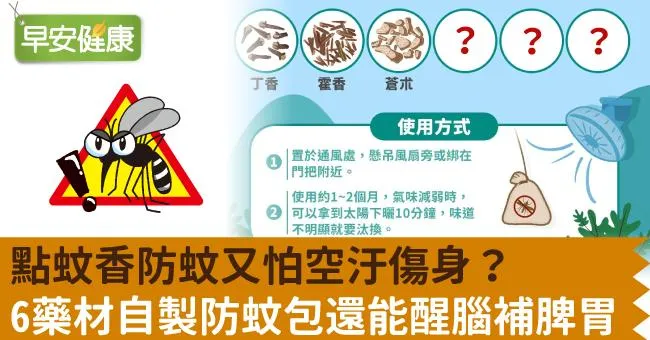 點蚊香防蚊又怕空汙傷身？6藥材自製防蚊包還能醒腦補脾胃