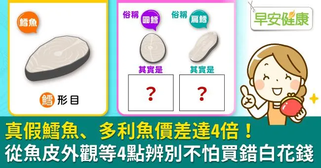 真假鱈魚、多利魚價差達4倍！從魚皮外觀等4點辨別不怕買錯白花錢