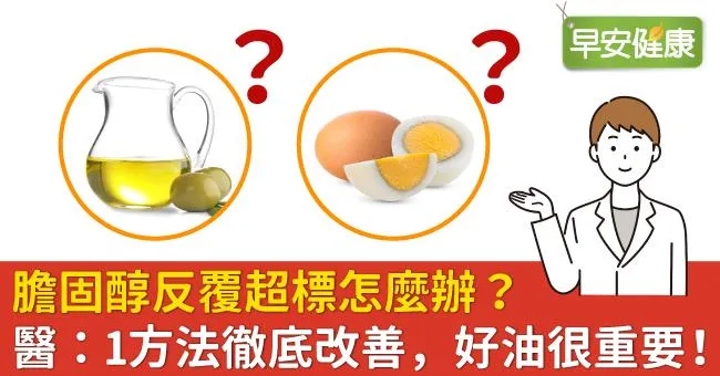 膽固醇反覆超標怎麼辦？醫：1方法徹底改善，好油很重要！