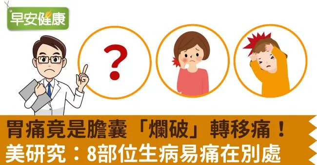 胃痛竟是膽囊「爛破」轉移痛！美研究：8部位生病易痛在別處