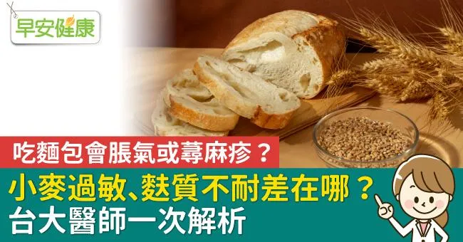 吃麵包會脹氣或蕁麻疹？小麥過敏、麩質不耐差在哪，台大醫師一次解析