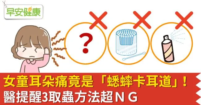 女童耳朵痛竟是「蟋蟀卡耳道」！醫提醒3取蟲方法超ＮＧ