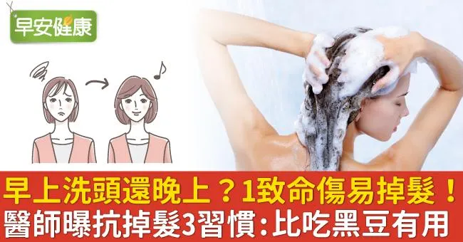 早上洗頭還晚上？1致命傷易掉髮！醫師曝抗掉髮3習慣：比吃黑豆有用