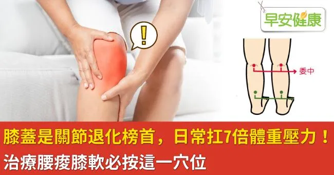膝蓋是關節退化榜首，日常扛7倍體重壓力！治療腰痠膝軟必按這一穴位