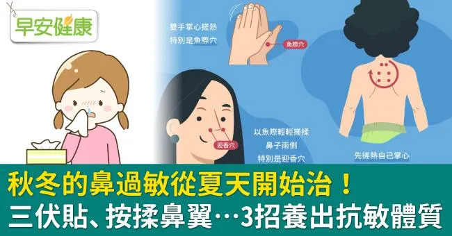 秋冬的鼻過敏從夏天開始治！三伏貼、按揉鼻翼…3招養出抗敏體質
