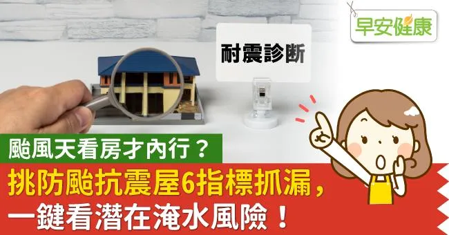 颱風天看房才內行？挑防颱抗震屋6指標抓漏，一鍵看潛在淹水風險！