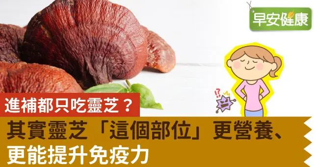進補都只吃靈芝？其實靈芝「這個部位」更營養、更能提升免疫力