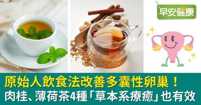 原始人飲食法改善多囊性卵巢！肉桂、薄荷茶4種「草本系療癒」也有效