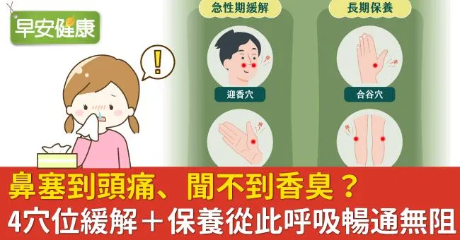 鼻塞到頭痛、聞不到香臭？4穴位緩解＋保養從此呼吸暢通無阻