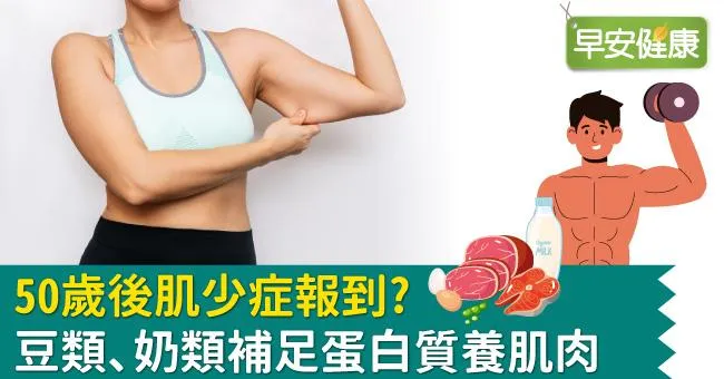 50歲後肌少症報到？豆類、奶類補足蛋白質養肌肉