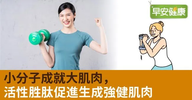 小分子成就大肌肉　活性胜肽促進生成強健肌肉！