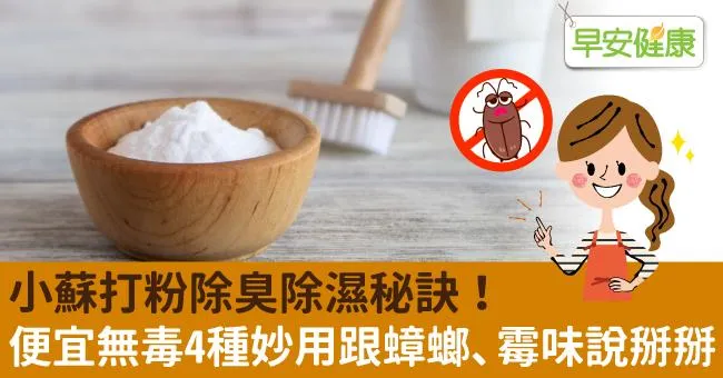 跟蟑螂、霉味說掰掰！小蘇打4種罕為人知的妙用