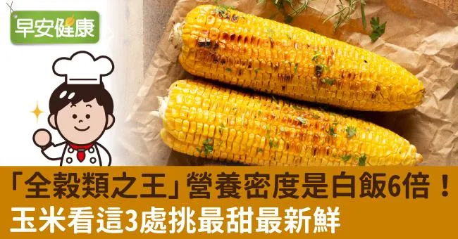 「全穀類之王」營養密度是白飯6倍！玉米看這3處挑最甜最新鮮