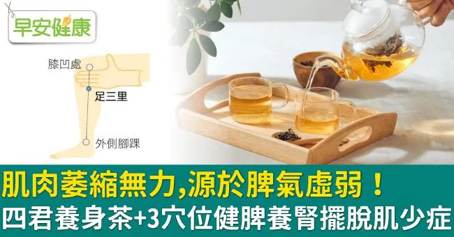 肌肉萎縮無力，源於脾氣虛弱！四君養身茶＋3穴位健脾養腎擺脫肌少症