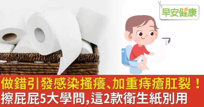 做錯引發感染搔癢、加重痔瘡肛裂！擦屁屁5大學問，這2款衛生紙別用