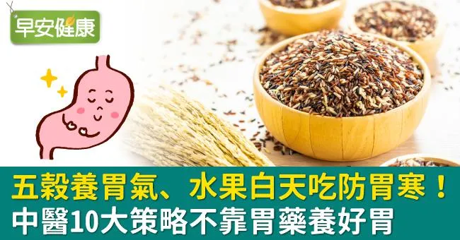 五穀混白米養胃氣、水果白天吃防胃寒！中醫10大策略不靠胃藥養好胃