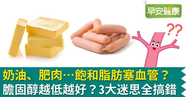 奶油、肥肉…飽和脂肪塞血管？膽固醇越低越好？3大迷思全搞錯